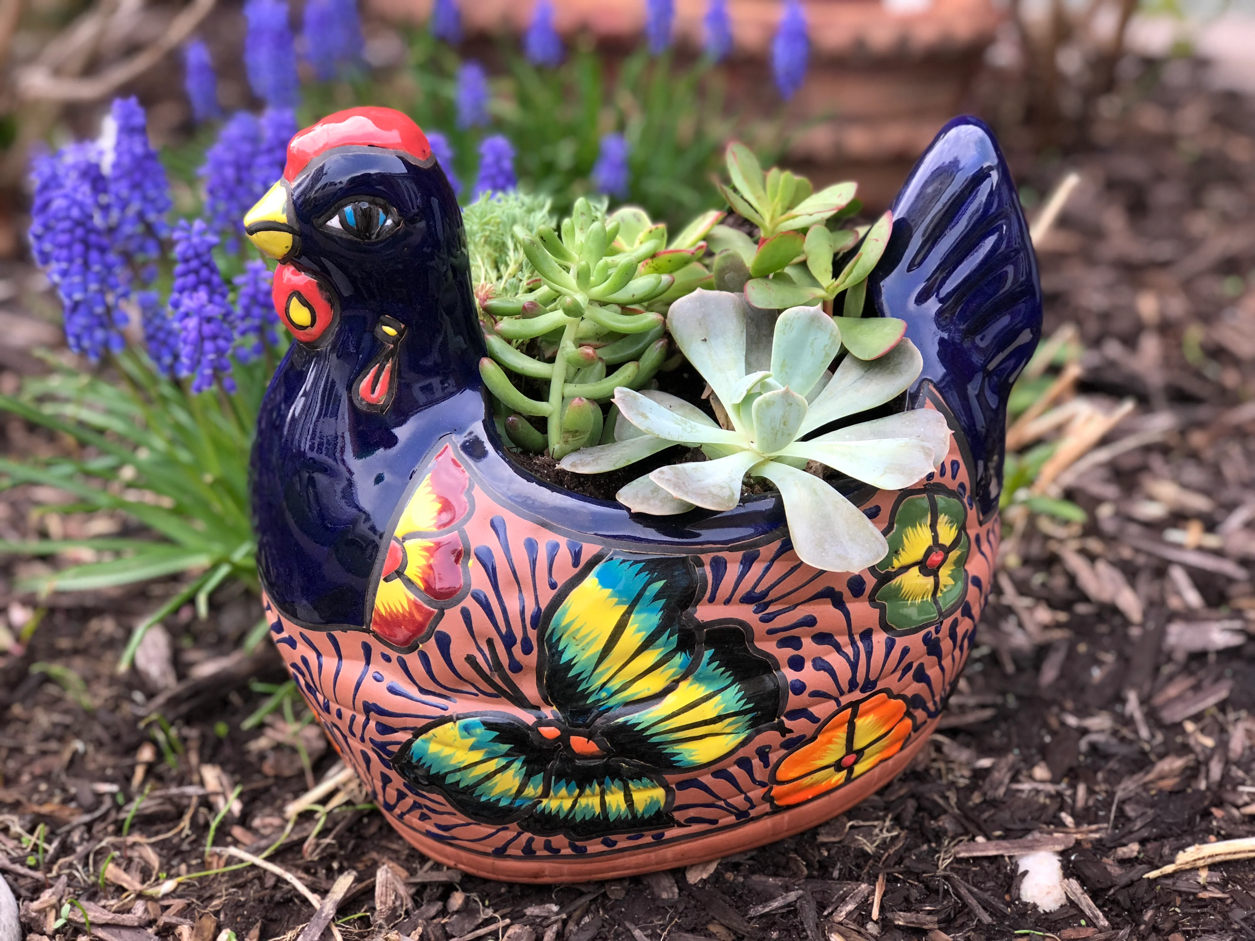 Spring Chicken - Image 6